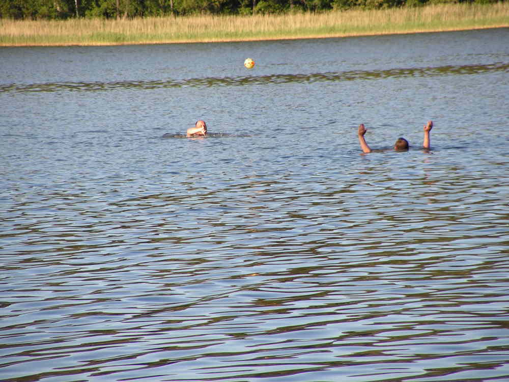 Waterpolo -cd