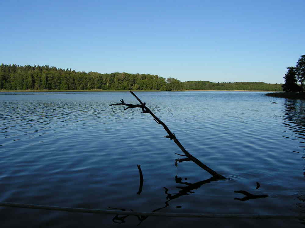 Zamordeje Male