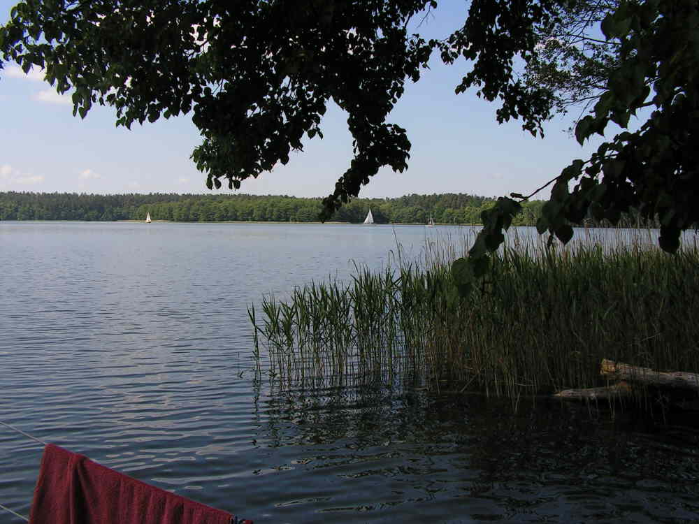 Iznota