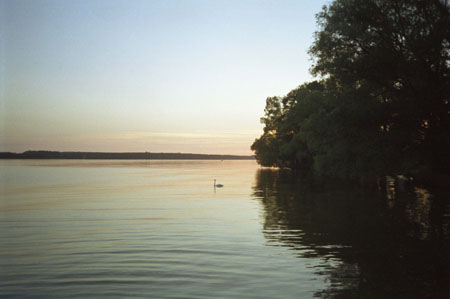 film220_24