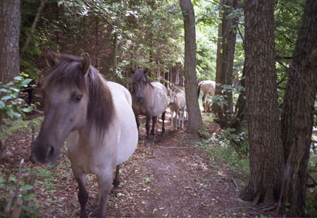 film221_21