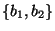 $\{b_1,b_2\}$