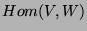 $Hom(V,W)$